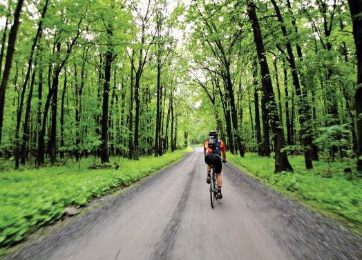 Person Biking A Trail In Frederick County, MD