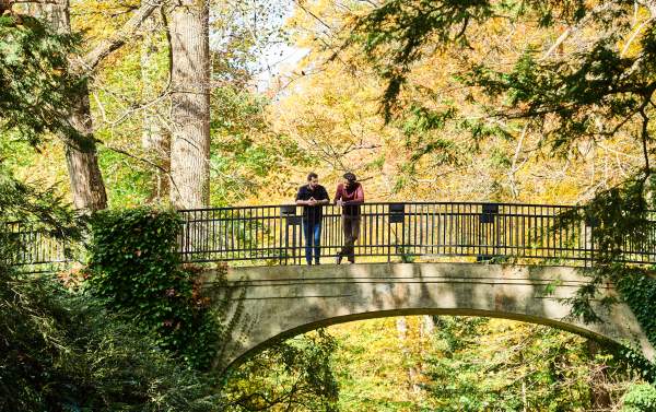Longwood Gardens in Fall at Bridge
