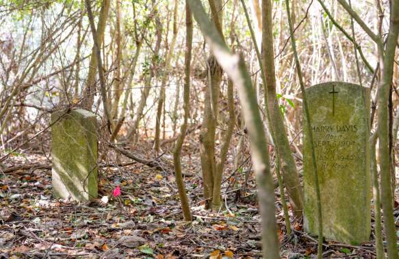 McLeod Plantation Historic Site Cemetery Headstone