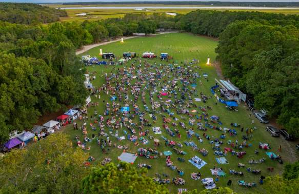 aerial view of a concert in the park