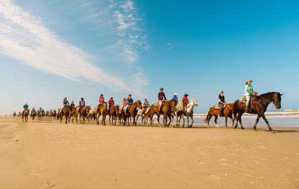 Horses on the Beach