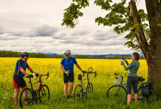 Three cyclists stand beside their road bikes in front of a field of bright yellow flowers under a tree at Camas Country Mill.