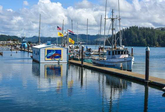 Novelli's Crab & Seafood on the Florence Docks by Melanie Griffin