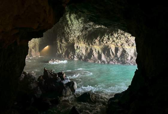 A view of Stellar Sea Lions on rocks surrounded by blue-green sea water in a large sea cave
