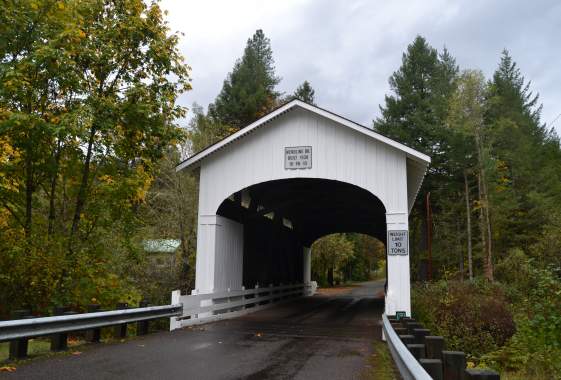 a white covered bridge road in the fall