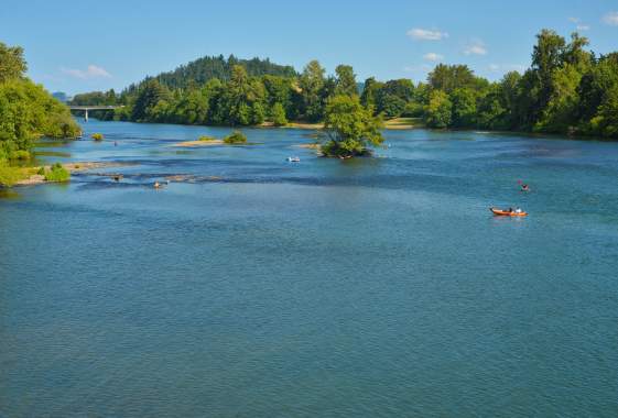 A kayaker on the Willamette River in summer time