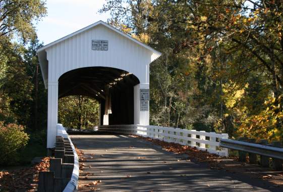 a white covered bridge road in the fall