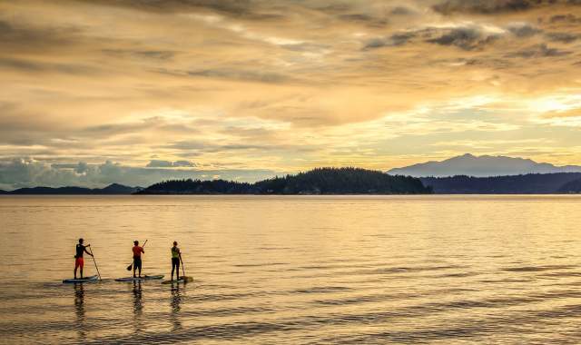 Three people on paddleboards enjoy the sunset.