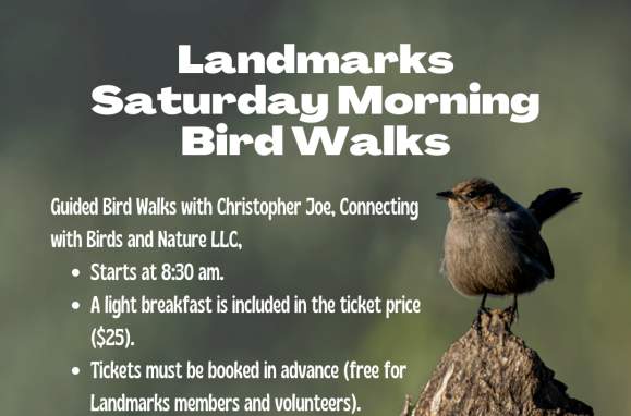 Bird Tour