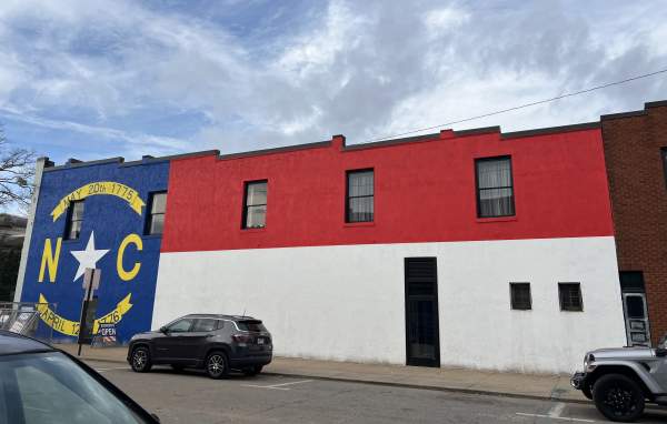 NC State Flag Mural
