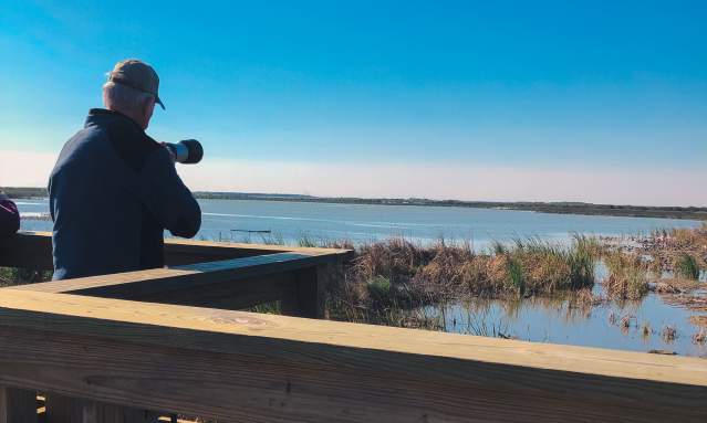 The foreground shows a slatted wooden fence. A man holding a camera stands at the fence looking out at the water and grassy marshes