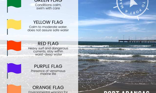 A beach is in the background. Over the beach is a series of five different colored flags representing water conditions. Green is calm conditions, yellow is calm to moderate, red is heavy surf and dangerous currents, purple is venomous marine life, and orange is environmental quality warning
