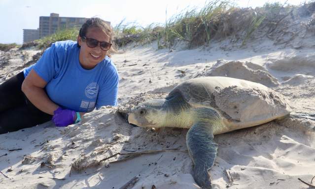 A woman lies on the sand next to a large nesting sea turtle