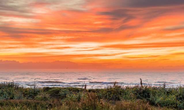 sunset-beach-grassy