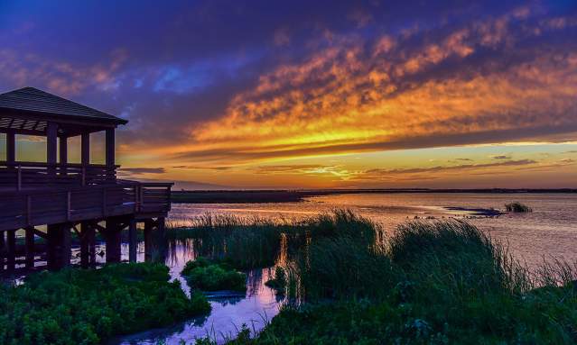 A vibrant sun sets over marshy waters. On the left sits a wooden observation deck.