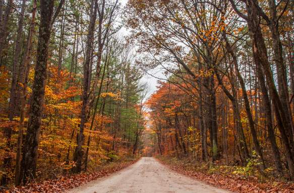 Hoosier National Forest during fall