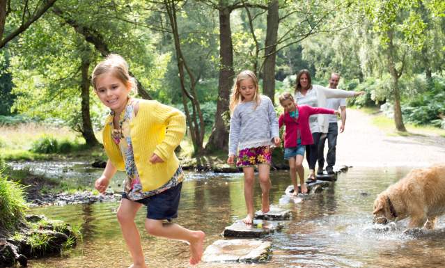 Cannock Chase Family Days Out family crosses stream stepping stones