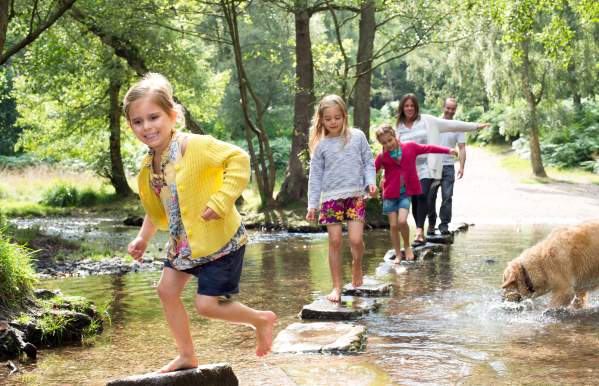 Cannock Chase Family Days Out family crosses stream stepping stones