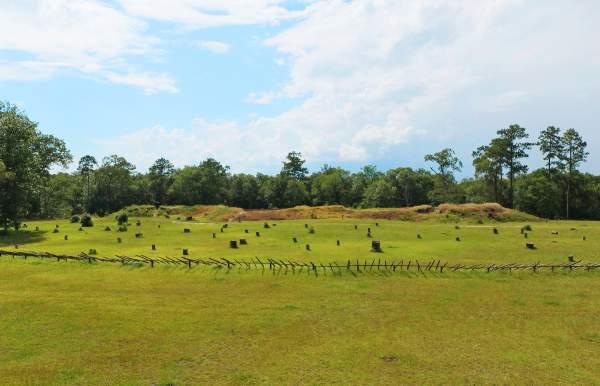 grassy field