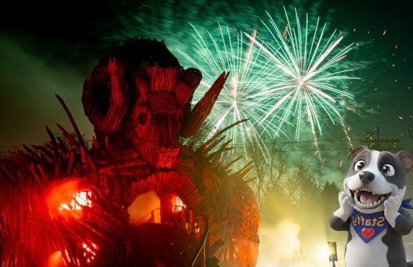 Staffy enjoying fireworks behind Wicker Man