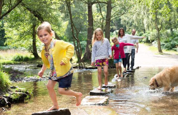 Cannock Chase Family Days Out family crosses stream stepping stones