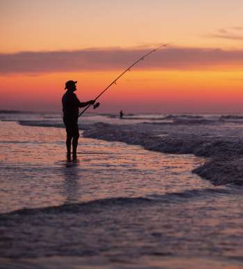 Myrtle Beach Fishing Seasons