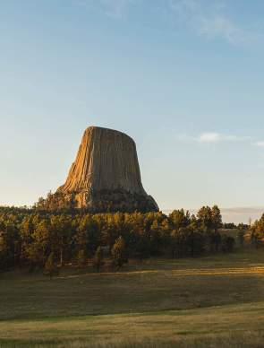 Devils Tower rising dramatically above a forested landscape under a clear sky in Wyoming.