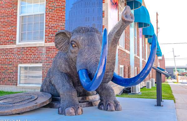 A sculpture of a mastodon, featuring prominently in in front of the Muskegon Museum of History and Science with buildings in the background. The sculpture is marked by realistic textures and a striking contrast between its gray body and blue tusks.
