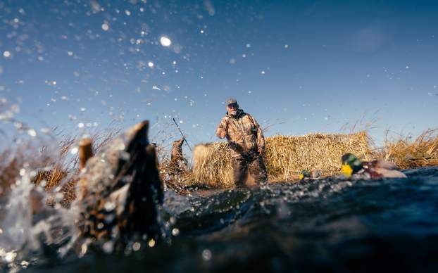 Waterfowl Hunting with Decoys 2024