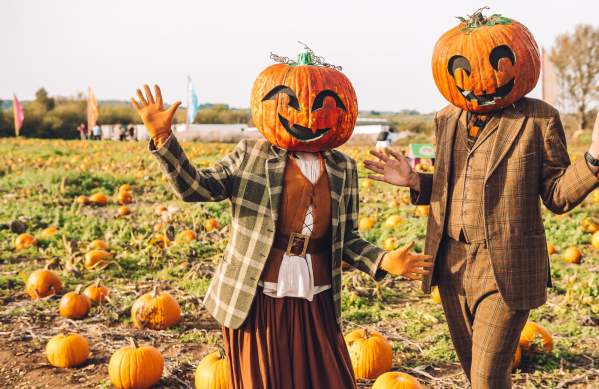 Pumpkin Patch at Avon Valley - Credit Avon Valley Adventure and Wildlife Park