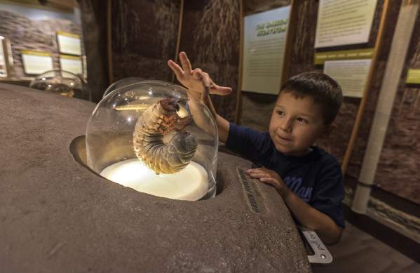Boy playing at Flint Hills Discovery Center