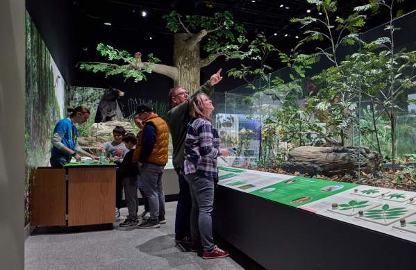 inside U-M Museum of Natural History