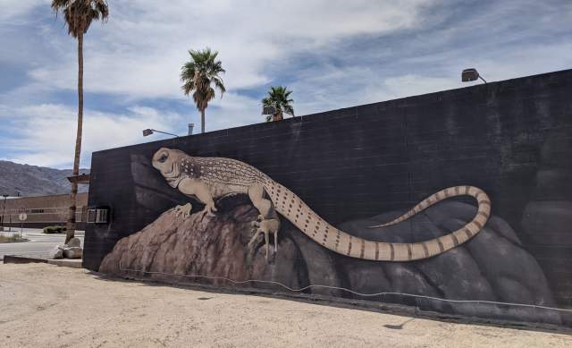 Visit 29 Palms - Oasis of Murals - Desert Iguana by 29 Palms Artist Chuck Caplinger