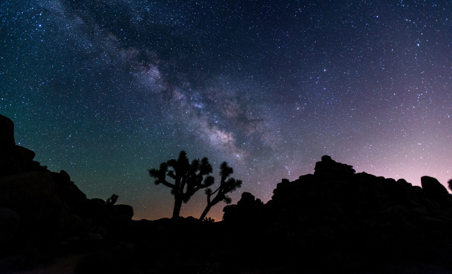 The Milky Way stretches across the night sky above Joshua trees and rock formations in Joshua Tree National Park near Twentynine Palms, California.