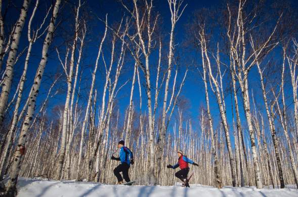 Couple Snowshoeing