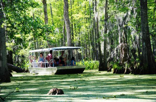 Slidell Things to Do - Honey island swamp tour