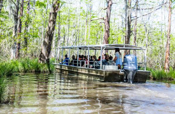 An early spring tour of Honey Island Swamp with Cajun Encounters in Slidell.