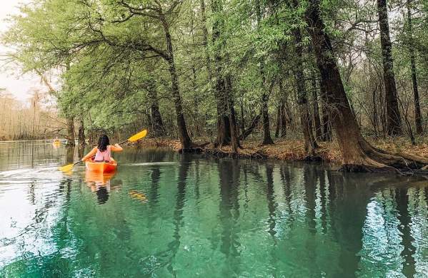 Kayak the Big Thicket