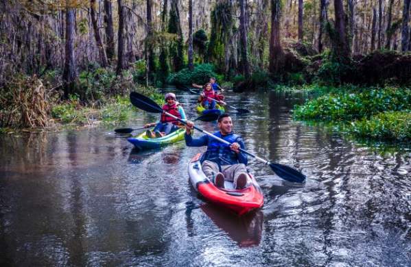 Kayaking Honey Island Swamp with Cajun Encounters Tour Co. in Slidell