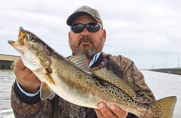 Andy Jones of Wicked Fishing Charters caught this speckled trout trolling the trestles in the spring.