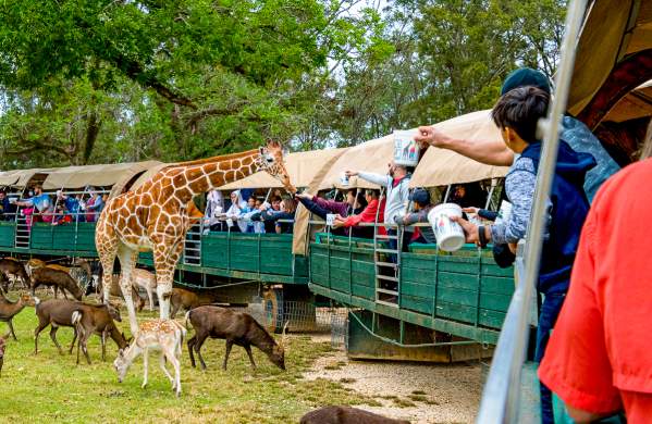 Global Wildlife Center