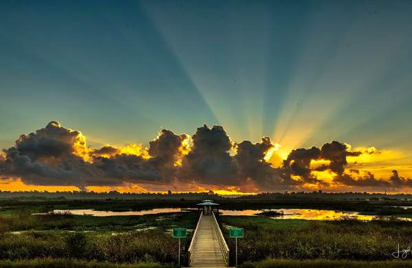 Cattail Marsh Boardwalk Sunrise