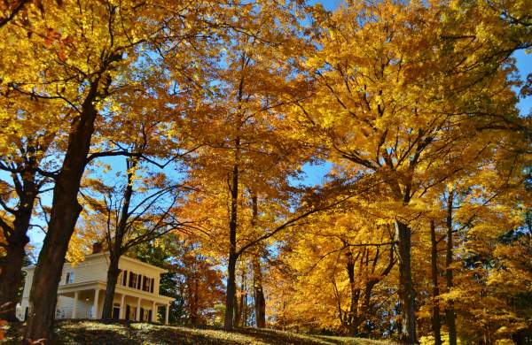 Van Raalte Farm in the fall