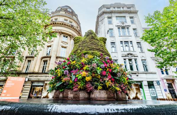 The Manchester Flower Festival Floral Trail: St Ann's Square