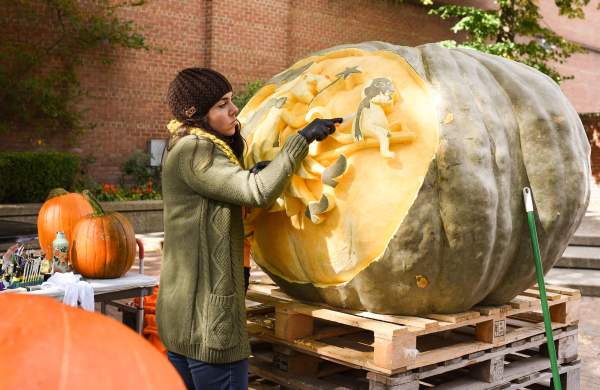 Giant Pumpkin Carving Downtown Holland, Michigan during Fall Fest