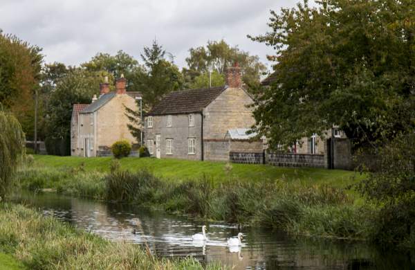 Market Deeping River with Swans and houses in background
