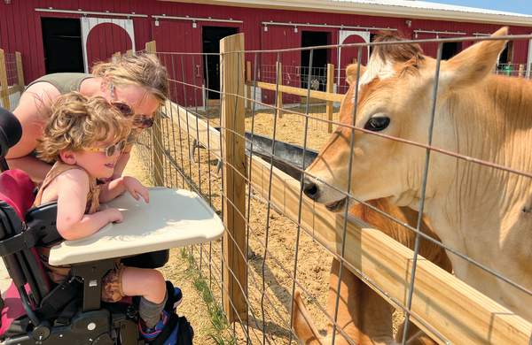 Small Child in Wheelchair enjoying animals at the Critter Barn