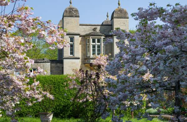 A path lined with spring blossom at Easton Walled Gardens, near Grantham