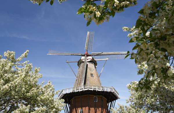 Windmill Island Tulip Time