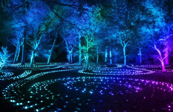 A light display at night with trees and waves of light on the floor